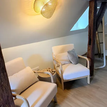 Amande Duplex Lejlighed Colmar